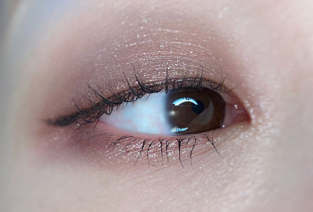 パーフェクトスタイリストアイズ/キャンメイク/アイシャドウパレットを使ったクチコミ(2枚目)