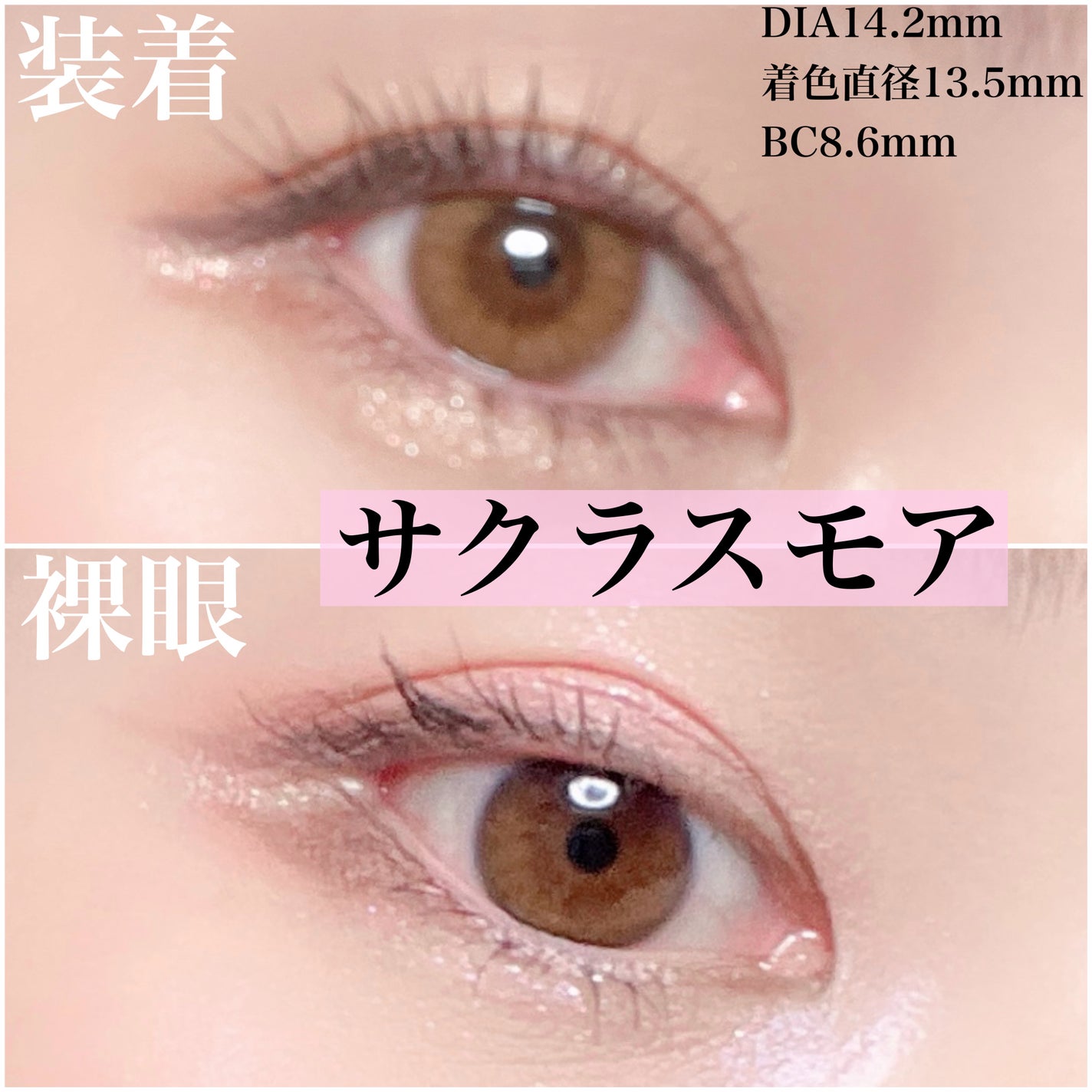 MOLAK 1day/MOLAK/ワンデー(1DAY)カラコンを使ったクチコミ(3枚目)