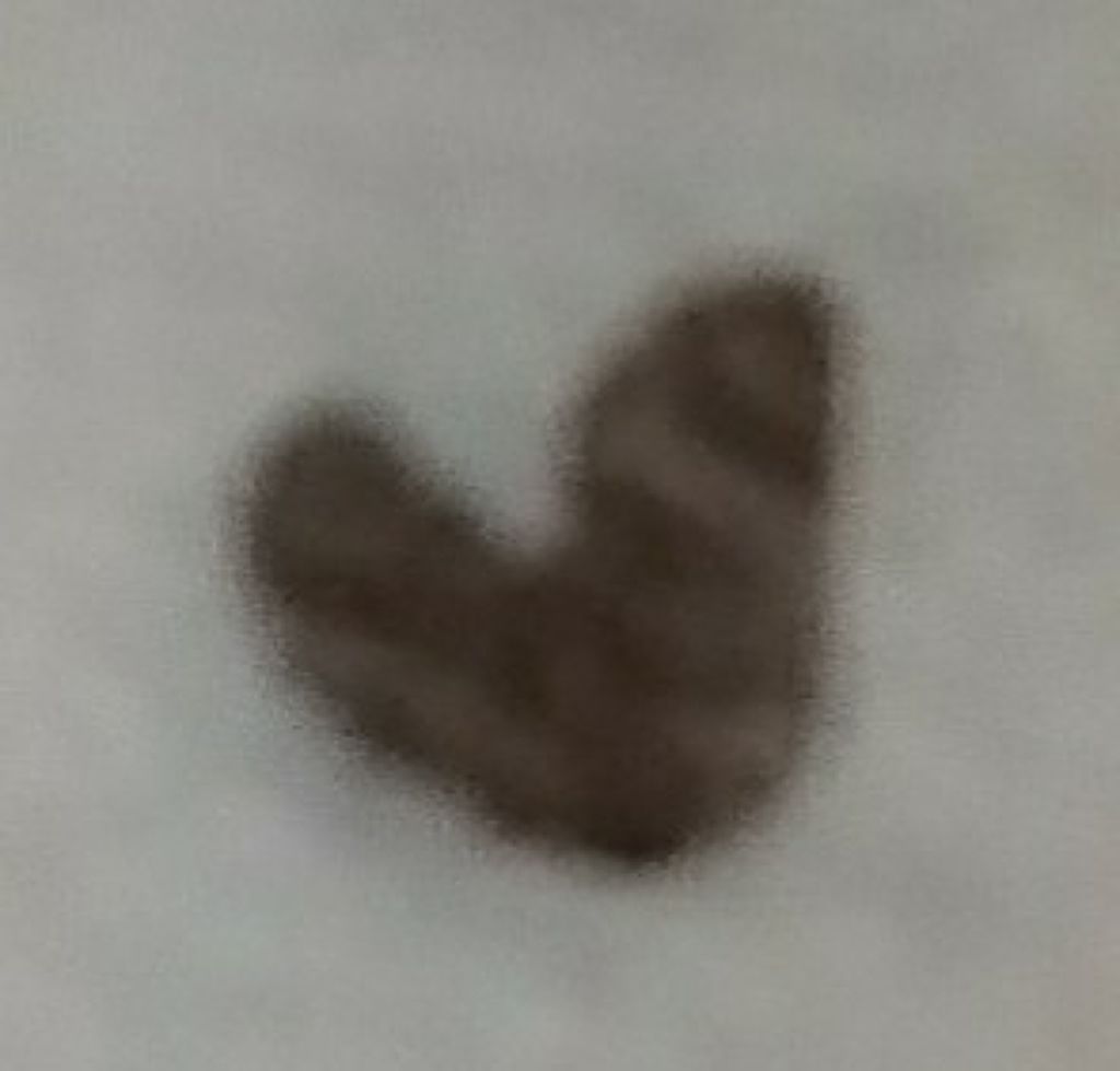 カバーパーフェクション チップコンシーラー/the SAEM/リキッドコンシーラーを使ったクチコミ（3枚目）