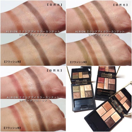 エクシア アイカラー カンテット 02 アーティブラウン/ALBION/アイシャドウパレットの画像