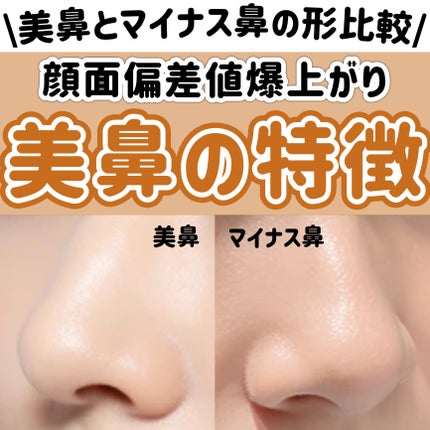 シェーディングパウダー/キャンメイク/シェーディングを使ったクチコミ(1枚目)