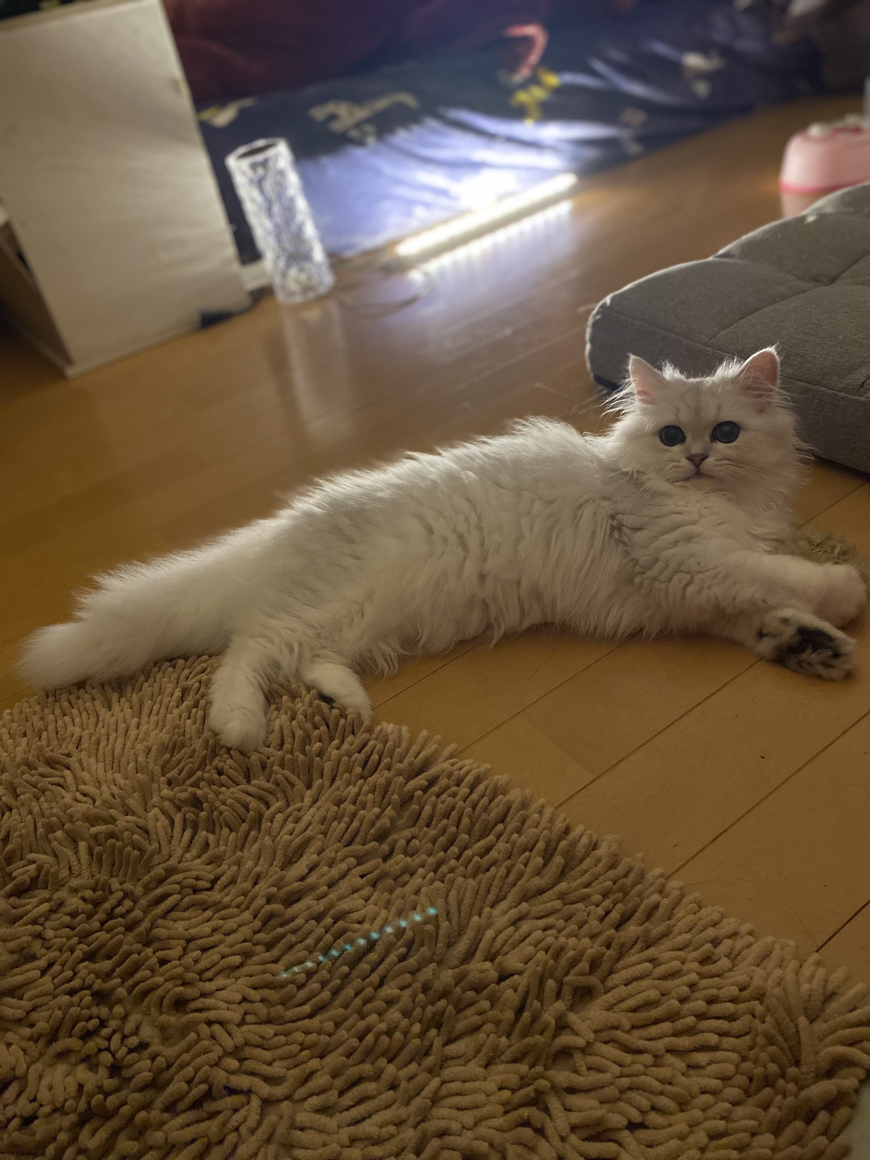 レブロン キス シュガー スクラブ 121 ミルキー＜限定品＞/REVLON/リップスクラブを使ったクチコミ（3枚目）