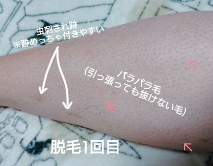 を使ったクチコミ(2枚目)