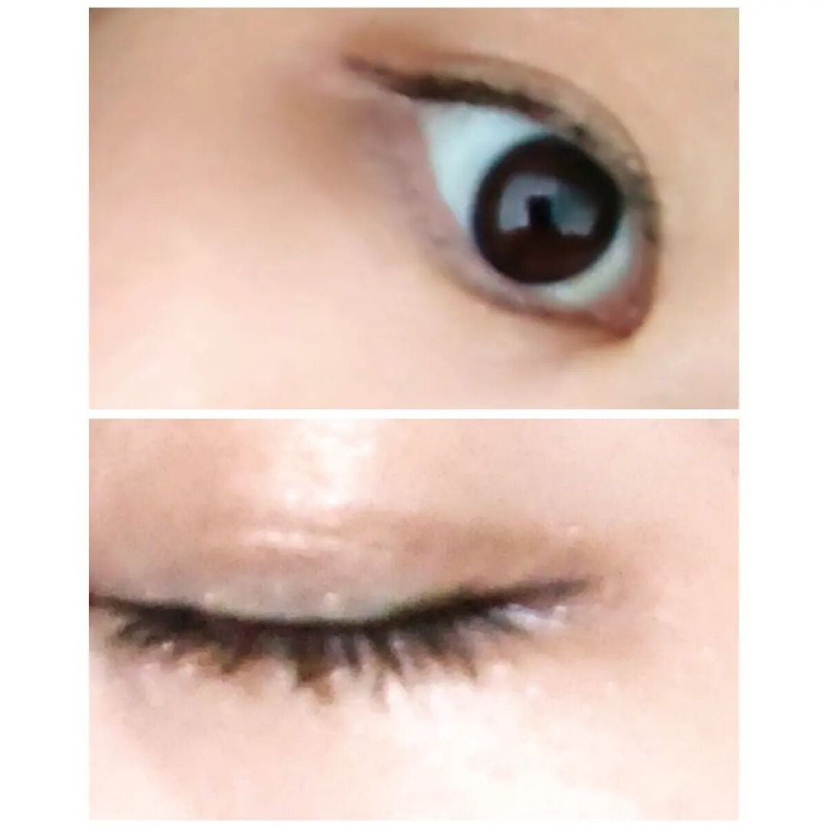 hemeアイシャドウパレット/heme/アイシャドウパレットを使ったクチコミ(5枚目)