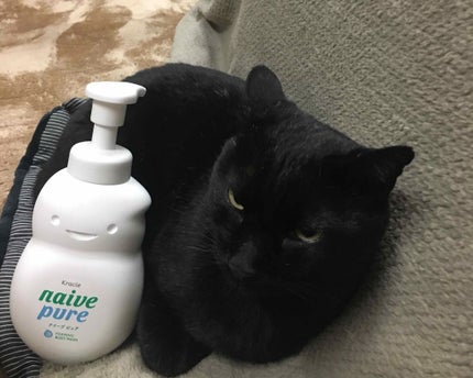 ナイーブピュア 泡ボディソープ/ナイーブ/ボディソープを使ったクチコミ(1枚目)