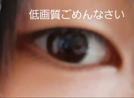 ラッシュフォーマーWP(ロング)/KATE/マスカラを使ったクチコミ(2枚目)