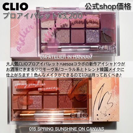 プロ アイ パレット/CLIO/アイシャドウパレットを使ったクチコミ(4枚目)