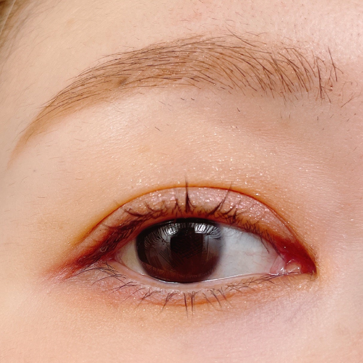 アイカラーレーション/LUNASOL/アイシャドウパレットを使ったクチコミ(3枚目)