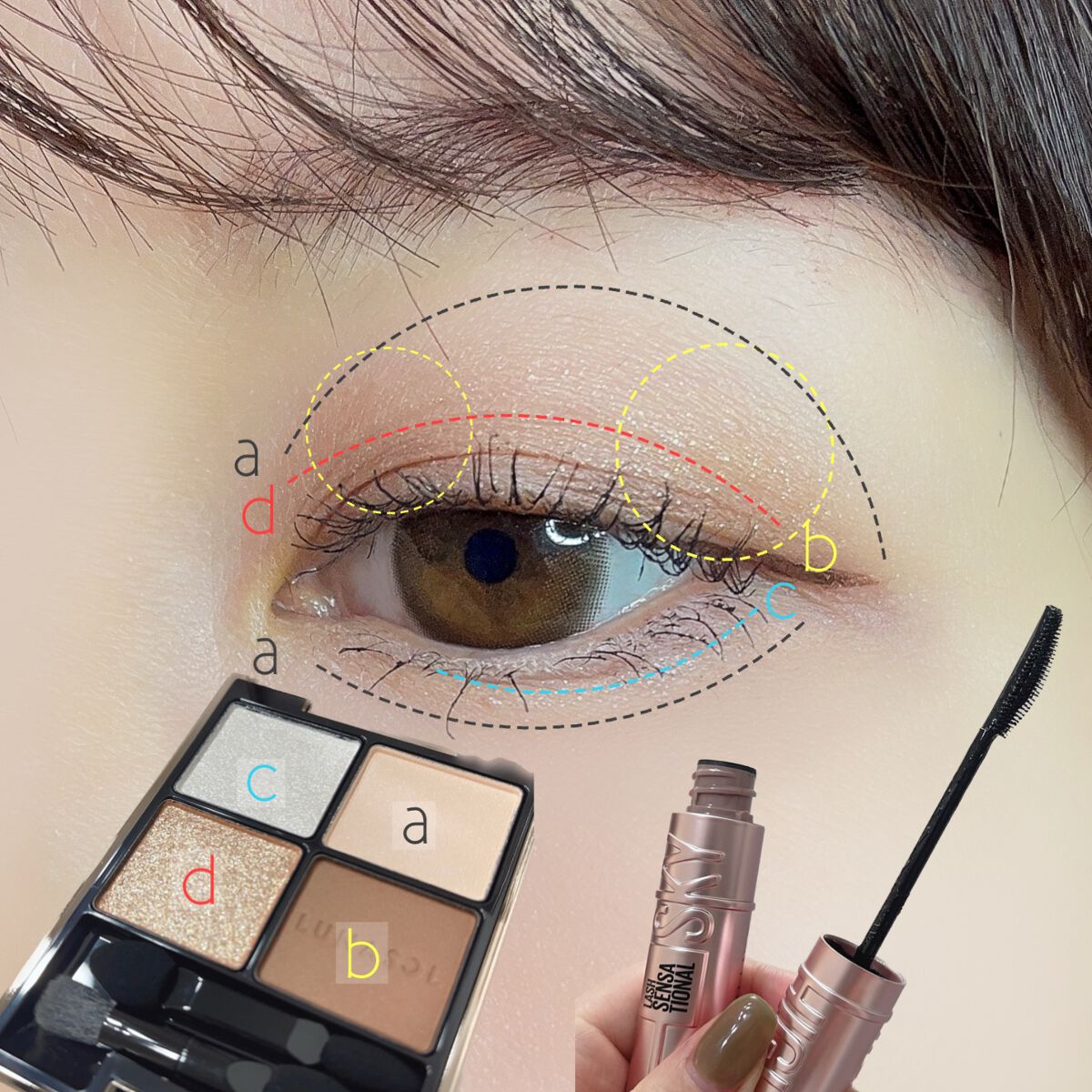 アイカラーレーション/LUNASOL/アイシャドウパレットを使ったクチコミ（2枚目）