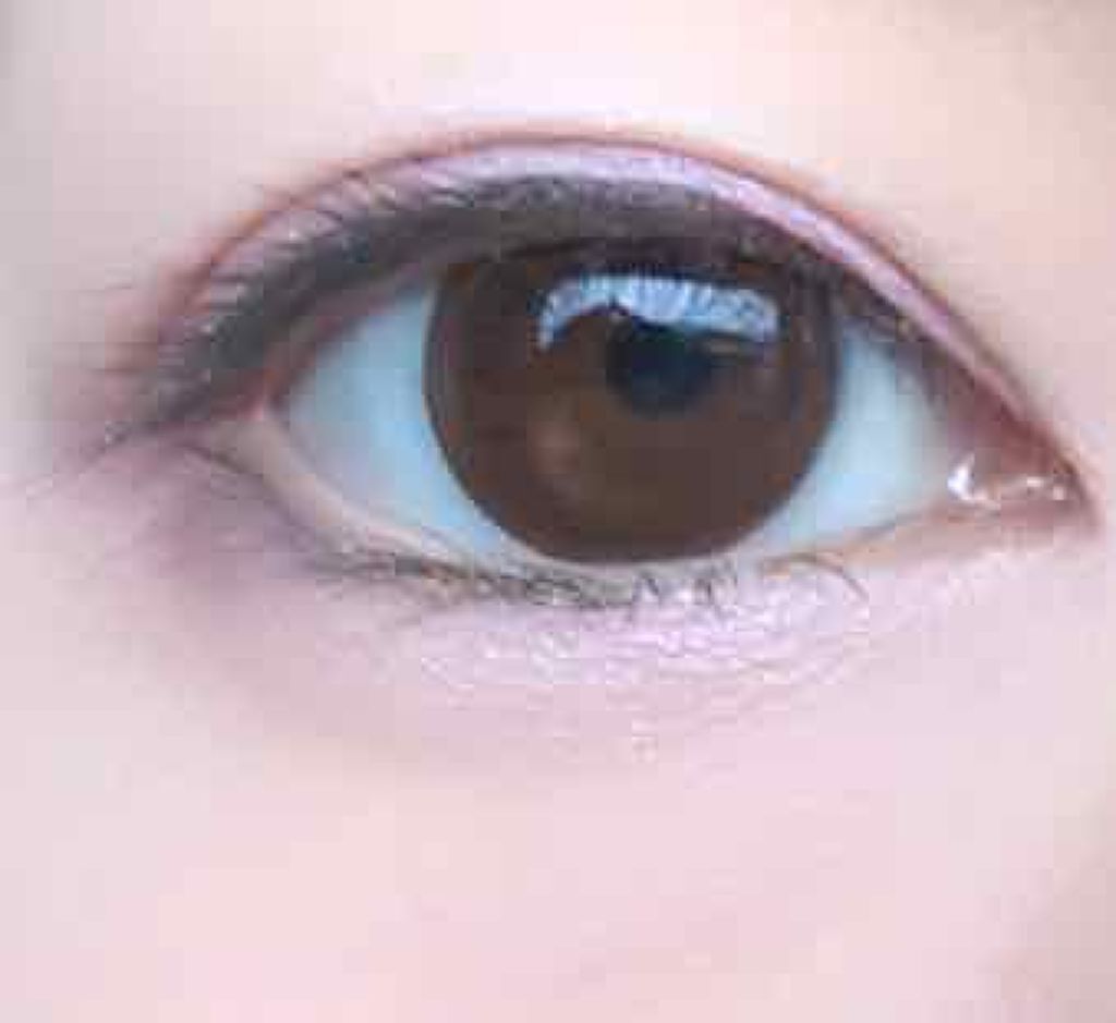 【旧品】パーフェクトスタイリストアイズ/キャンメイク/アイシャドウパレットを使ったクチコミ（2枚目）