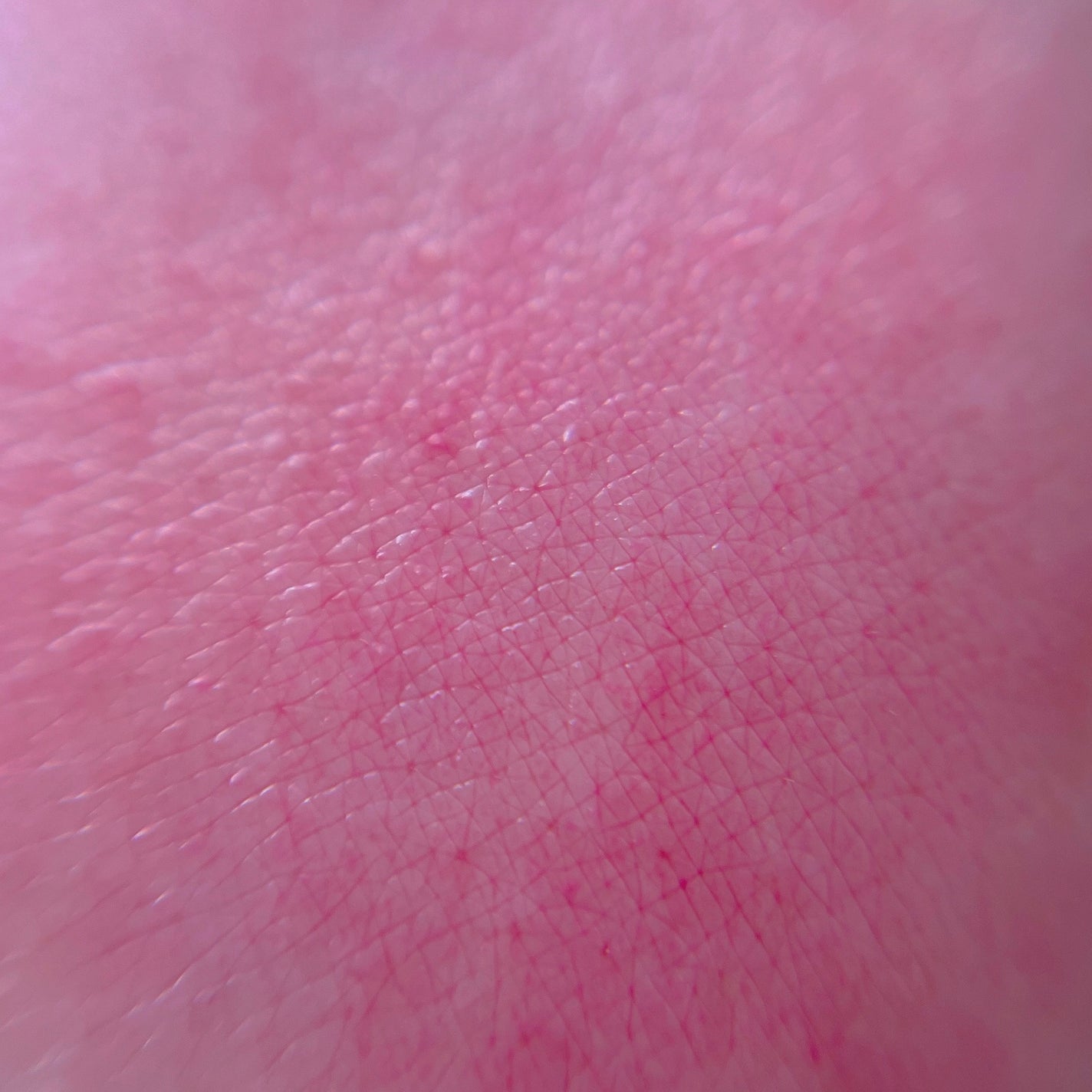 マニフィカトゥールレーブル/クレ・ド・ポー ボーテ/リップバームを使ったクチコミ(7枚目)