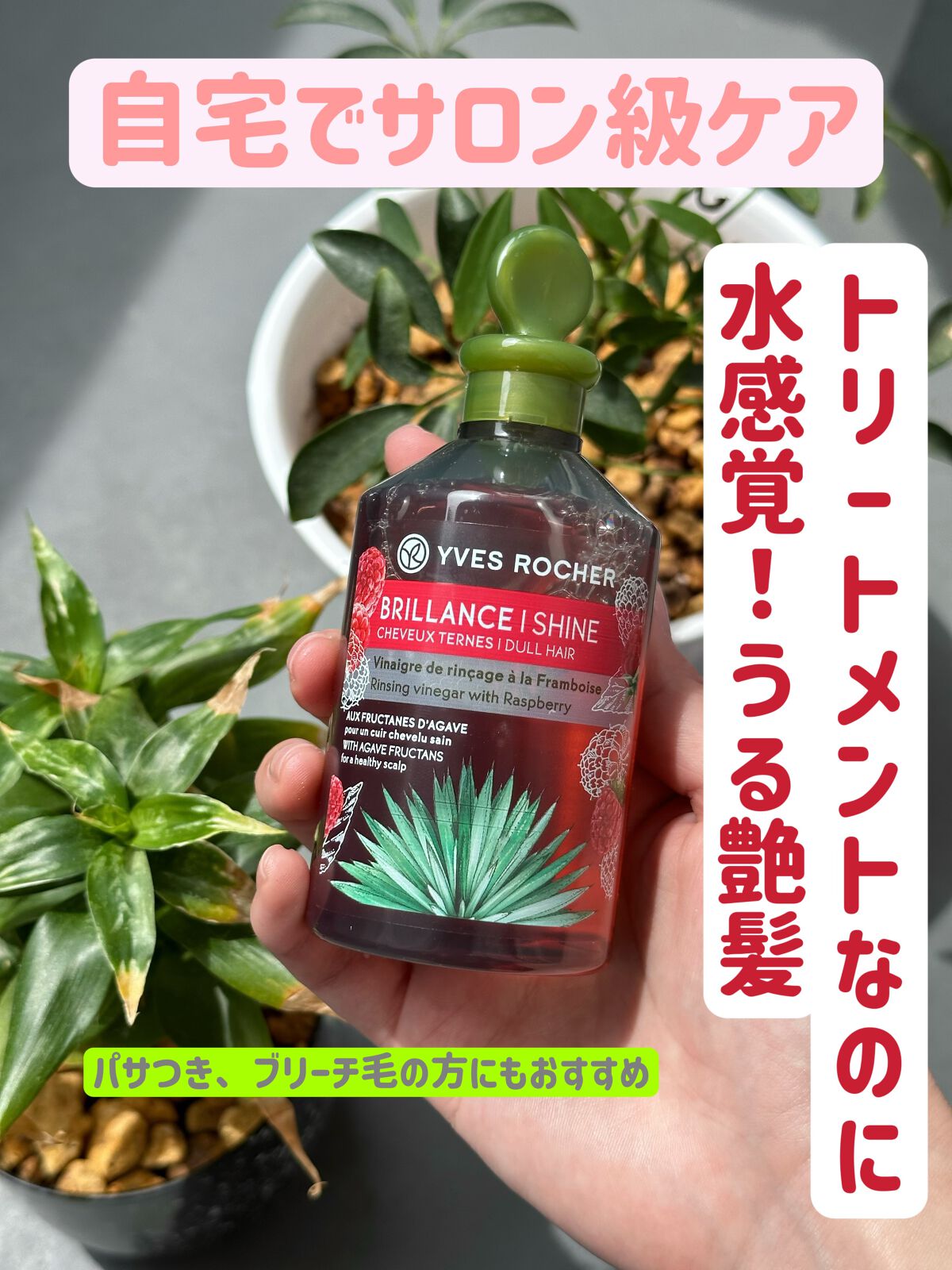 リンシングビネガー シルキーシャイン さらキララズベリー リンシングビネガー さらキララズベリー 150ml【旧】/イヴ・ロシェ/洗い流すヘアトリートメントを使ったクチコミ（1枚目）