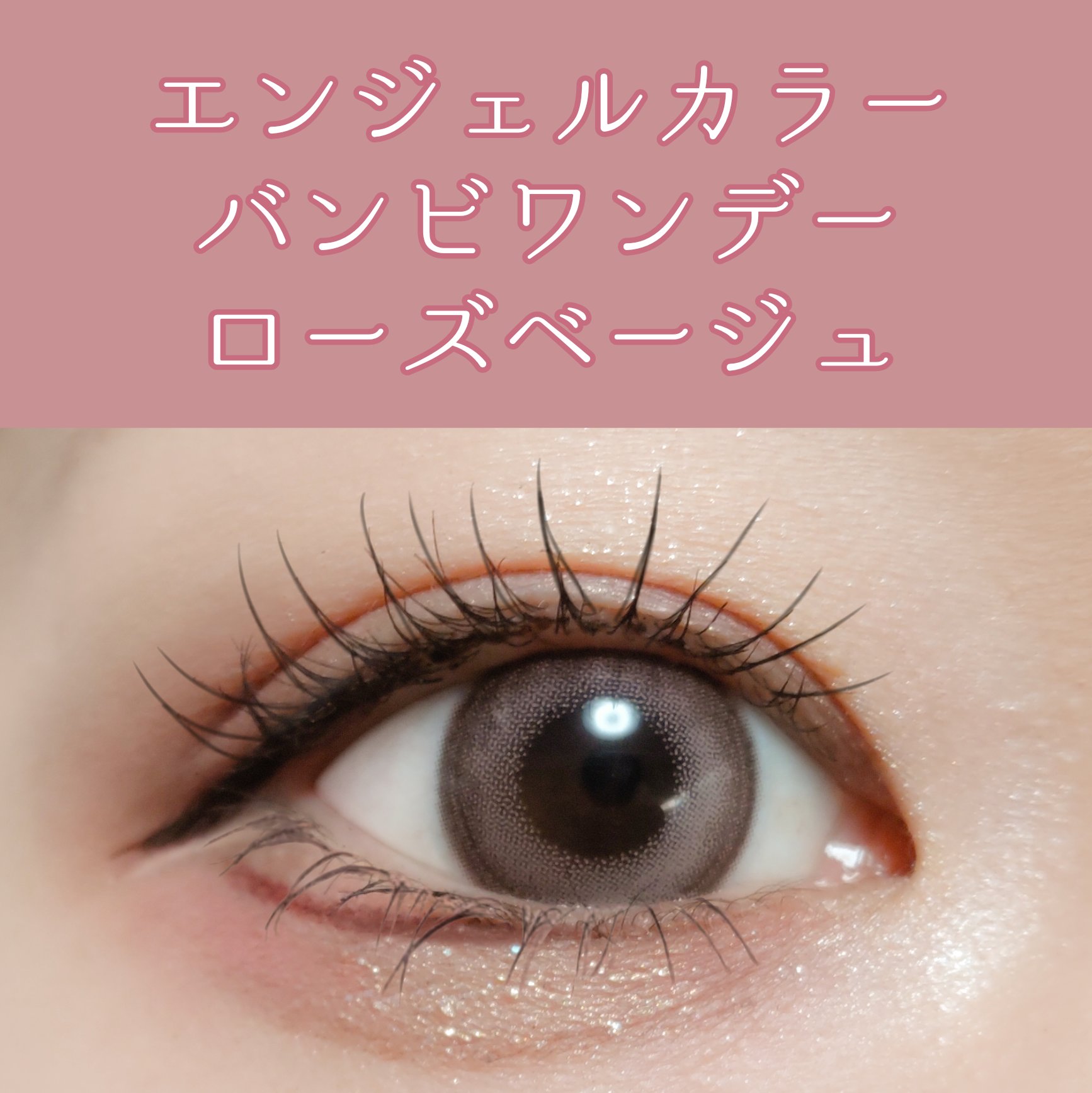 Angelcolor Bambi Series 1day /AngelColor/ワンデー（１DAY）カラコンを使ったクチコミ（1枚目）