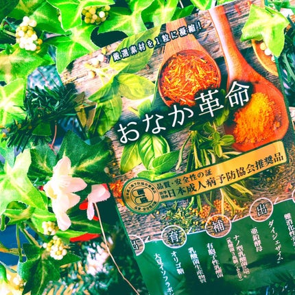 おなか革命/極選市場/健康サプリメントを使ったクチコミ(1枚目)