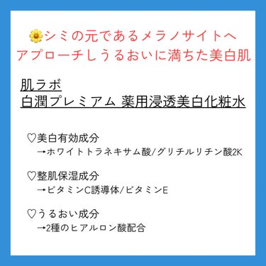 白潤プレミアム薬用浸透美白化粧水 170ml（ボトル）/肌ラボ/化粧水を使ったクチコミ（2枚目）