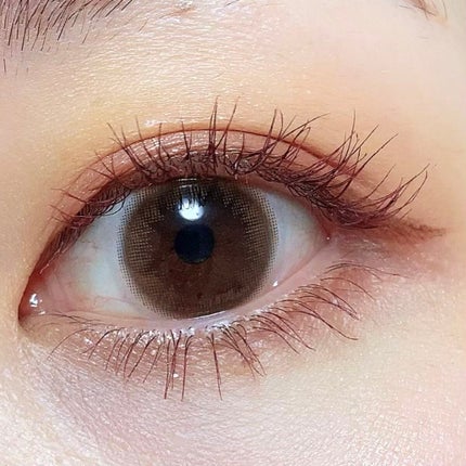 シルキースフレアイズ(マットタイプ)/キャンメイク/アイシャドウパレットを使ったクチコミ(3枚目)