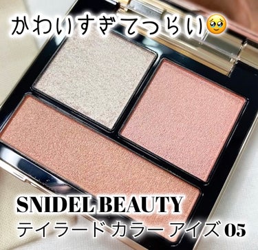 テイラード カラー アイズ/SNIDEL BEAUTY/アイシャドウパレットを使ったクチコミ（1枚目）