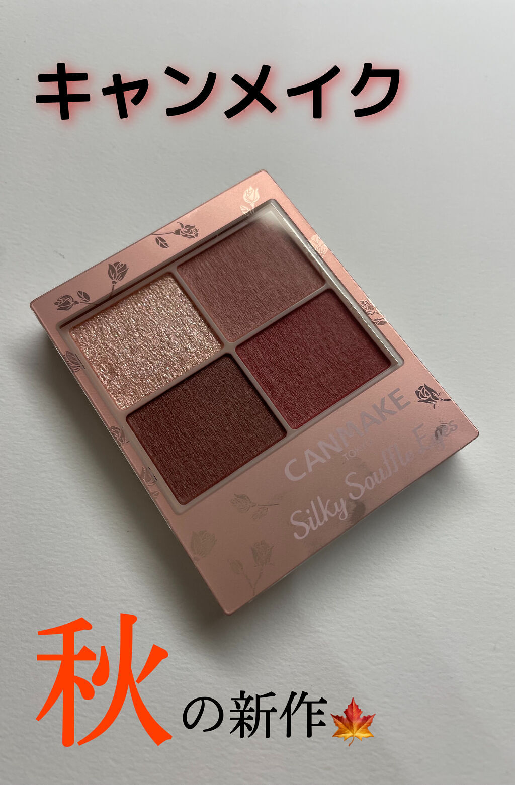 シルキースフレアイズ（マットタイプ）/キャンメイク/アイシャドウパレットを使ったクチコミ（1枚目）