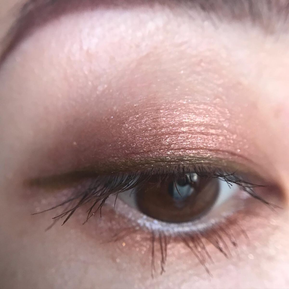 【旧】サンク クルール クチュール/Dior/アイシャドウパレットを使ったクチコミ（3枚目）