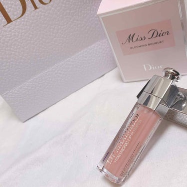 【旧】ディオール アディクト リップ マキシマイザー/Dior/リップグロスを使ったクチコミ（1枚目）