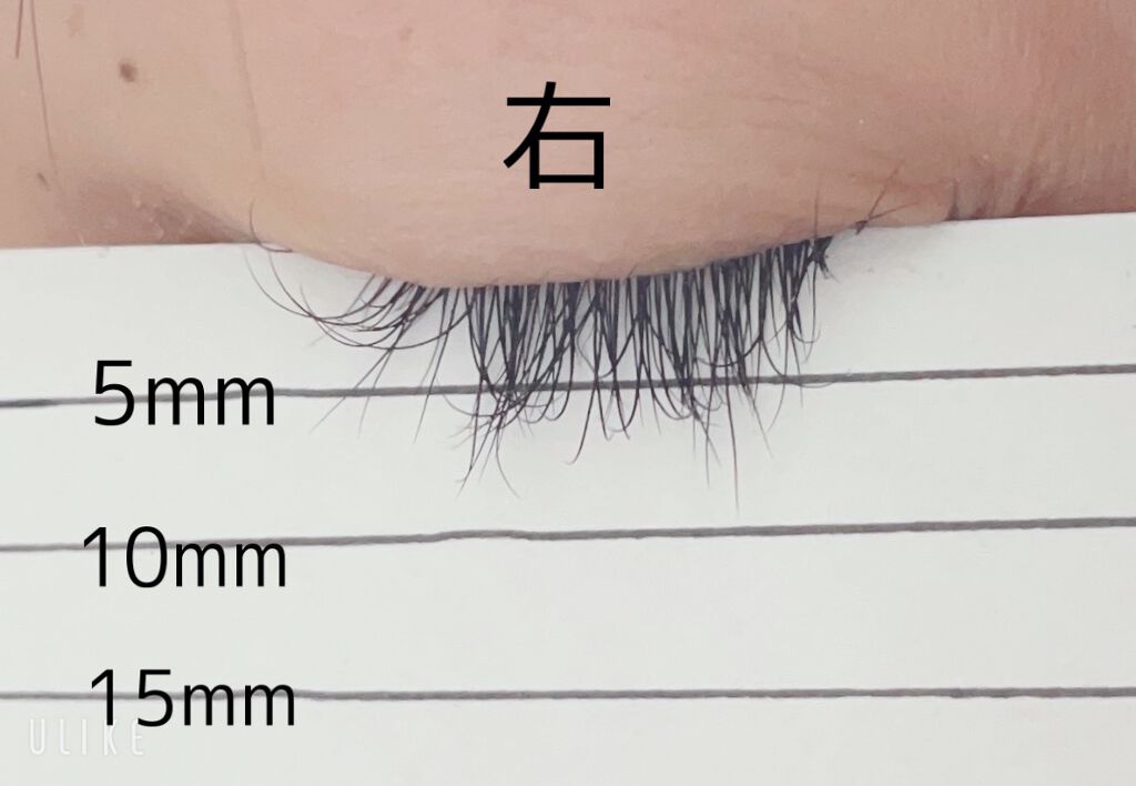 EMAKED（エマーキット）/水橋保寿堂製薬/まつげ美容液を使ったクチコミ（2枚目）