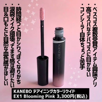 デザイニングカラーリクイド/KANEBO/リキッドコンシーラーを使ったクチコミ(6枚目)