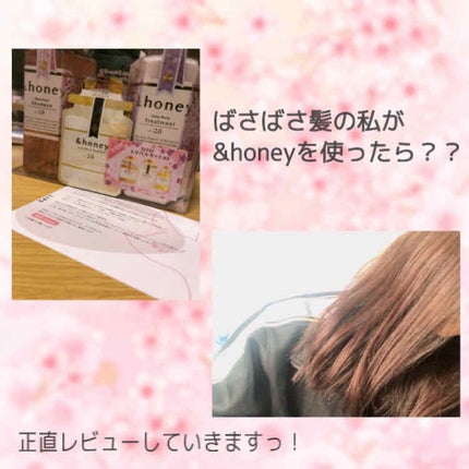 ディープモイスト 限定チェリーブロッサム シャンプー&ヘアトリートメントペアセット/&honey/シャンプー・コンディショナーを使ったクチコミ(1枚目)