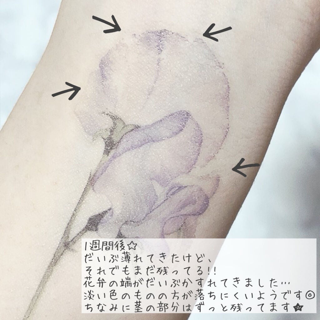 メイクアップタトゥーシール アイシャドウ スパイダー/DAISO/その他化粧小物を使ったクチコミ（5枚目）
