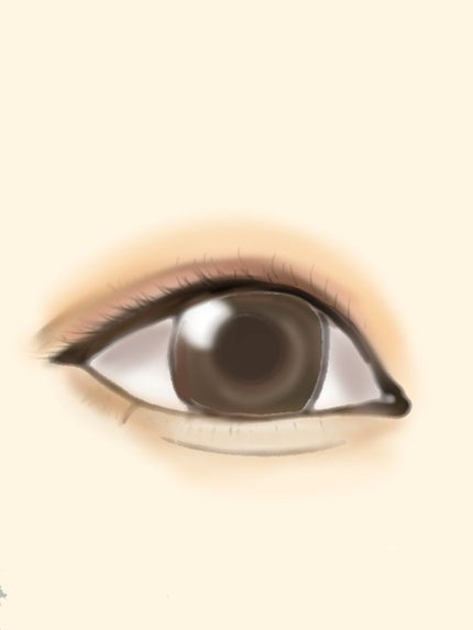 スキニーリッチシャドウ/excel/アイシャドウパレットを使ったクチコミ(1枚目)