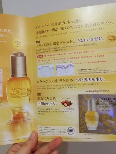 イモーテル ディヴァインインテンシヴオイル/L'OCCITANE/ブースター・導入液を使ったクチコミ（2枚目）