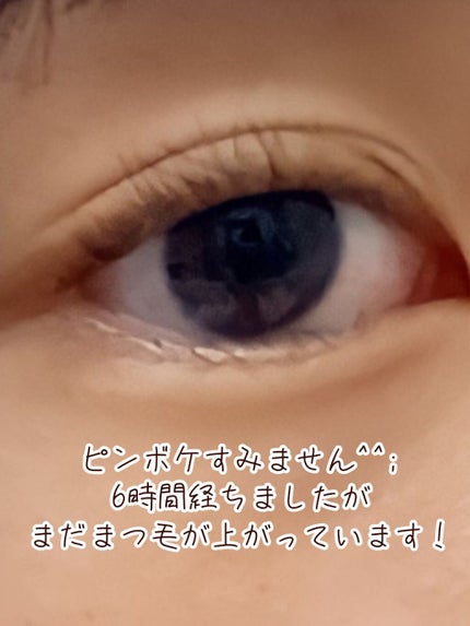 クリア マスカラR/CEZANNE/マスカラ下地を使ったクチコミ(3枚目)
