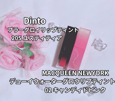 ブラーグロイリップティント/Dinto/口紅を使ったクチコミ（1枚目）