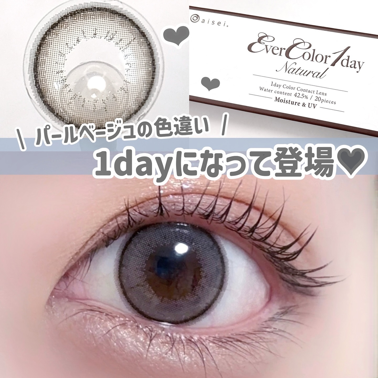 エバーカラーワンデー ナチュラル パールスノーグレー/エバーカラー/ワンデー（１DAY）カラコンを使ったクチコミ（1枚目）