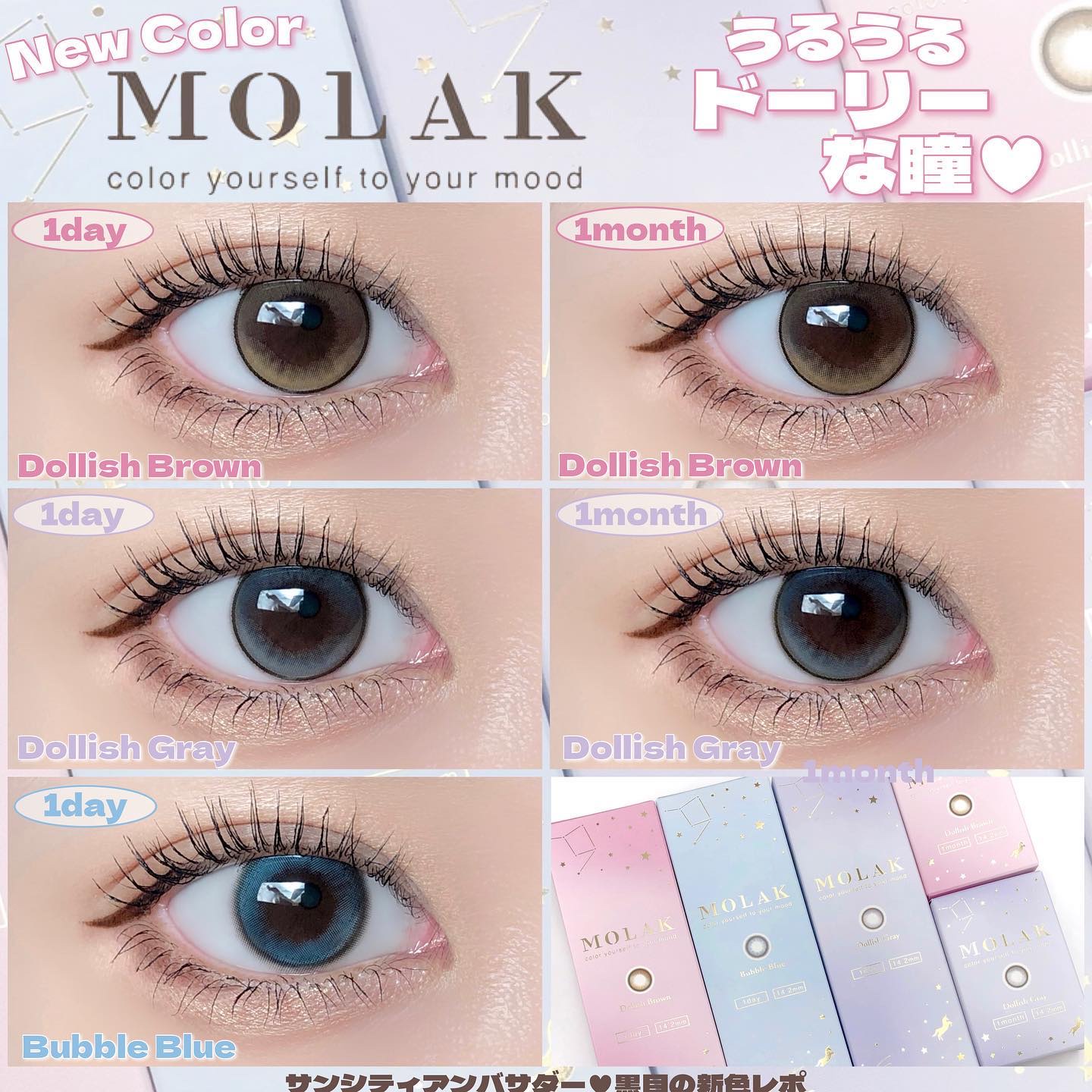 MOLAK 1day/MOLAK/ワンデー（１DAY）カラコンを使ったクチコミ（1枚目）