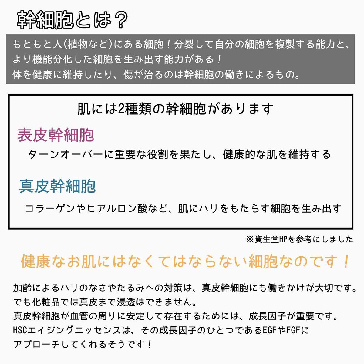 HSC エイジングエッセンス/b+ cosmetics/美容液を使ったクチコミ（3枚目）