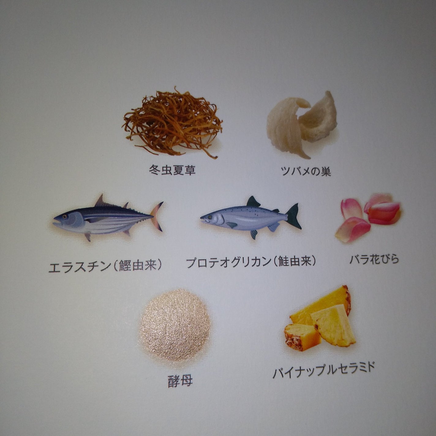 ダブルプラソーム/LUZI/美容サプリメントを使ったクチコミ(3枚目)