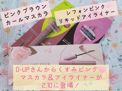 シルキーリキッドアイライナーWP/D-UP/リキッドアイライナーを使ったクチコミ(2枚目)