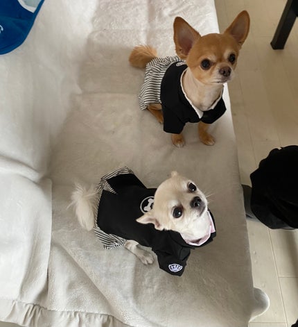 ミニネイル/パラドゥ/マニキュアを使ったクチコミ(5枚目)