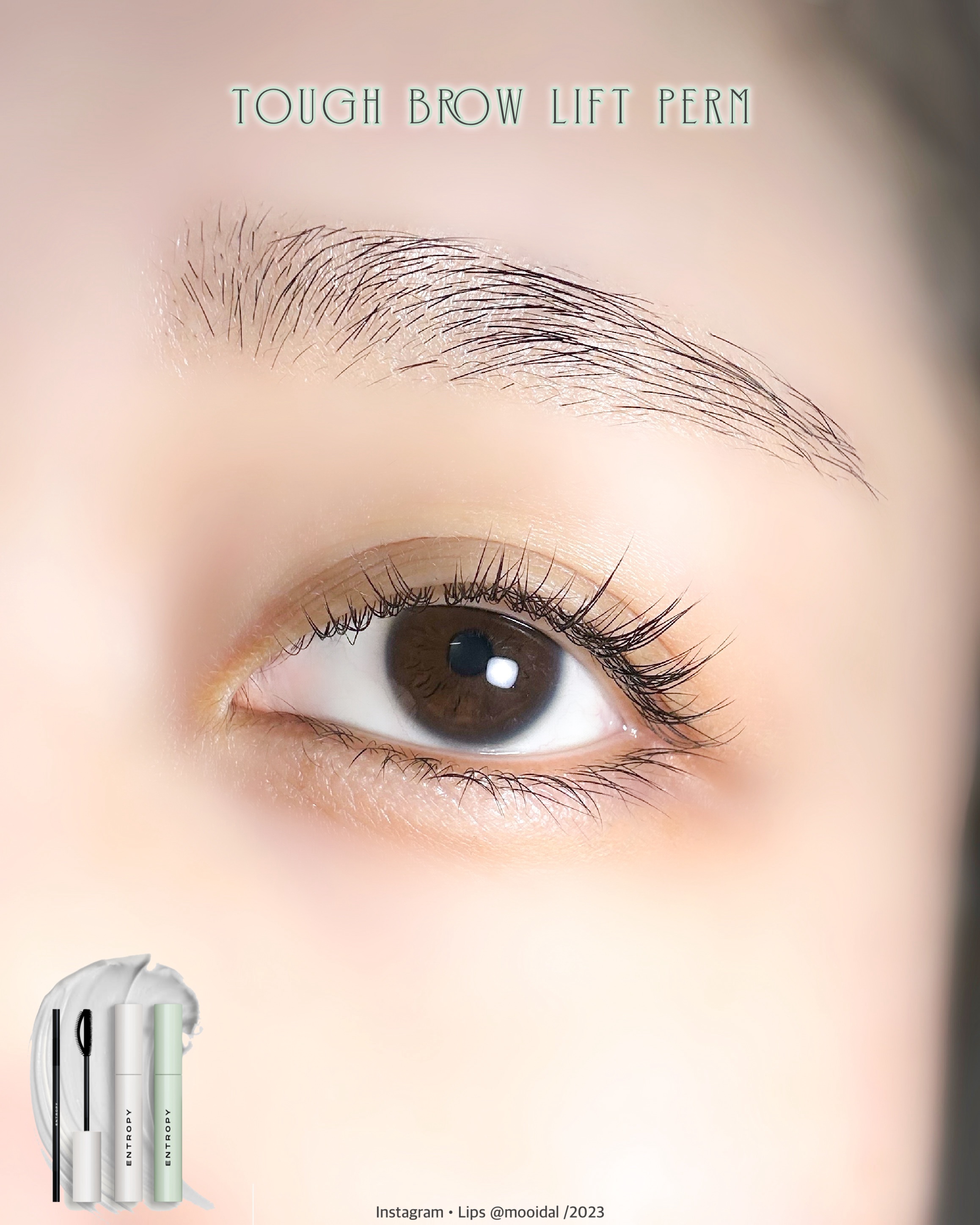 タフブローリフトキット/ENTROPY/その他キットセットを使ったクチコミ（2枚目）