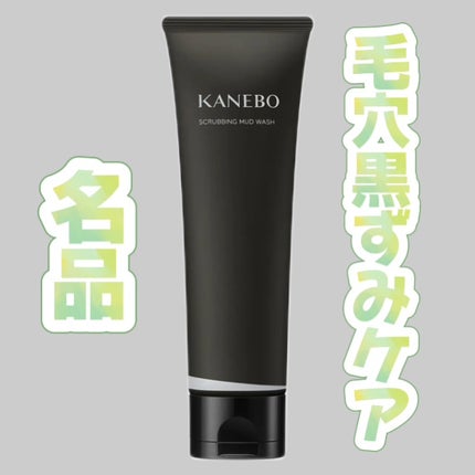 スクラビング マッド ウォッシュ/KANEBO/洗顔フォームを使ったクチコミ(1枚目)