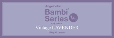 Angelcolor Bambi Series Vintage 1day