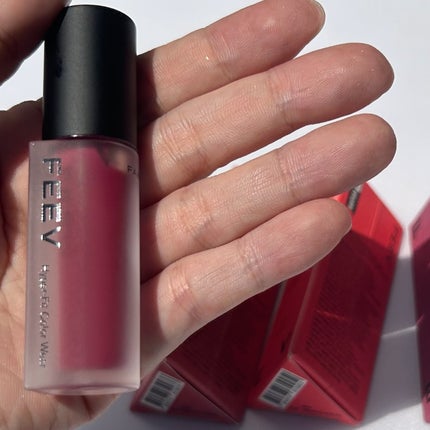 カラーウェア/FEEV/口紅を使ったクチコミ(5枚目)