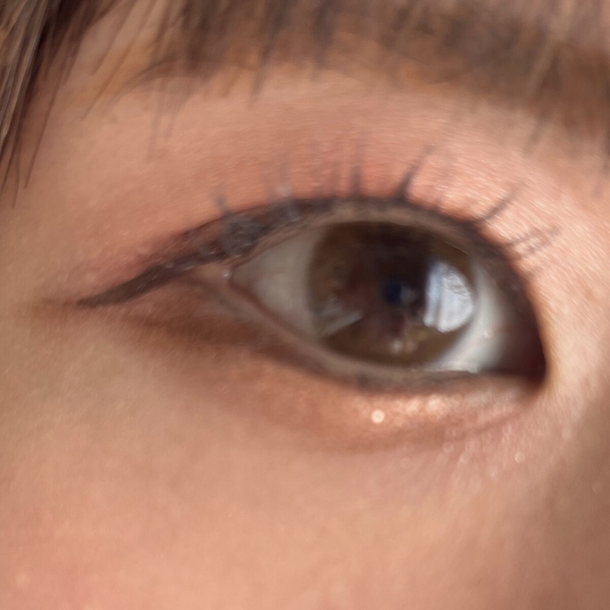 FRUTTIE 1day/メニコン/ワンデー（１DAY）カラコンを使ったクチコミ（1枚目）