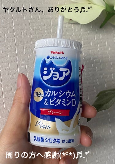 ヤクルト ジョアのクチコミ「ヤクルト🩶🩵ジョア💙💙𓈒𓏸︎︎︎︎プレーン  125ml

ヨーグルトも飲むヨーグルトも大好き.....」（1枚目）