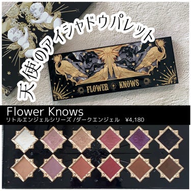 リトルエンジェル12色アイシャドウパレット/FlowerKnows/パウダーアイシャドウを使ったクチコミ（1枚目）