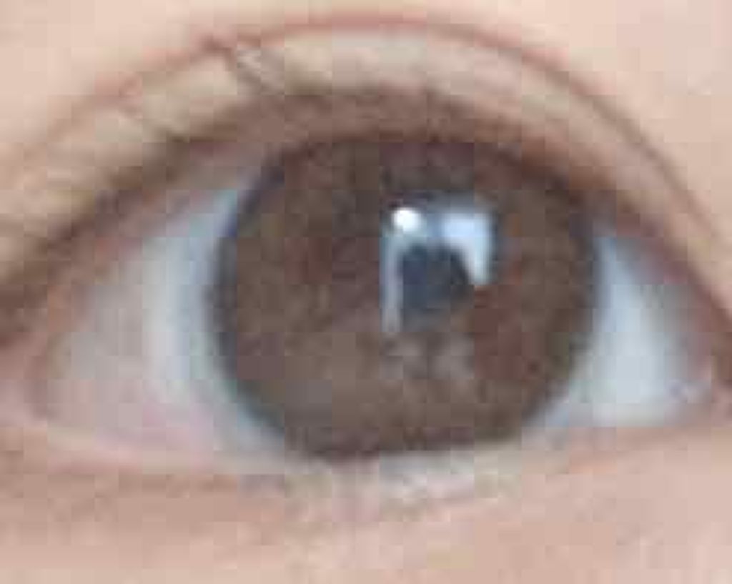 バンビシリーズ ワンデー ナチュラル/AngelColor/ワンデー(1DAY)カラコンを使ったクチコミ(3枚目)