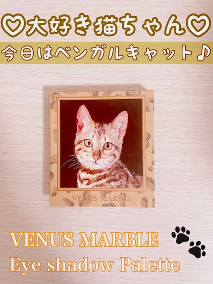 Venus Marble アイシャドウキャットシリーズ ベンガルキャット/Venus Marble/アイシャドウパレットを使ったクチコミ(1枚目)