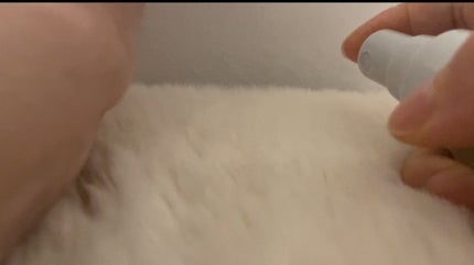 オレンジフラワーミストコロン/生活の木/香水(その他)を使ったクチコミ(4枚目)