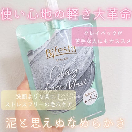 クレイパック/ビフェスタ/洗い流すパック・マスクを使ったクチコミ(1枚目)