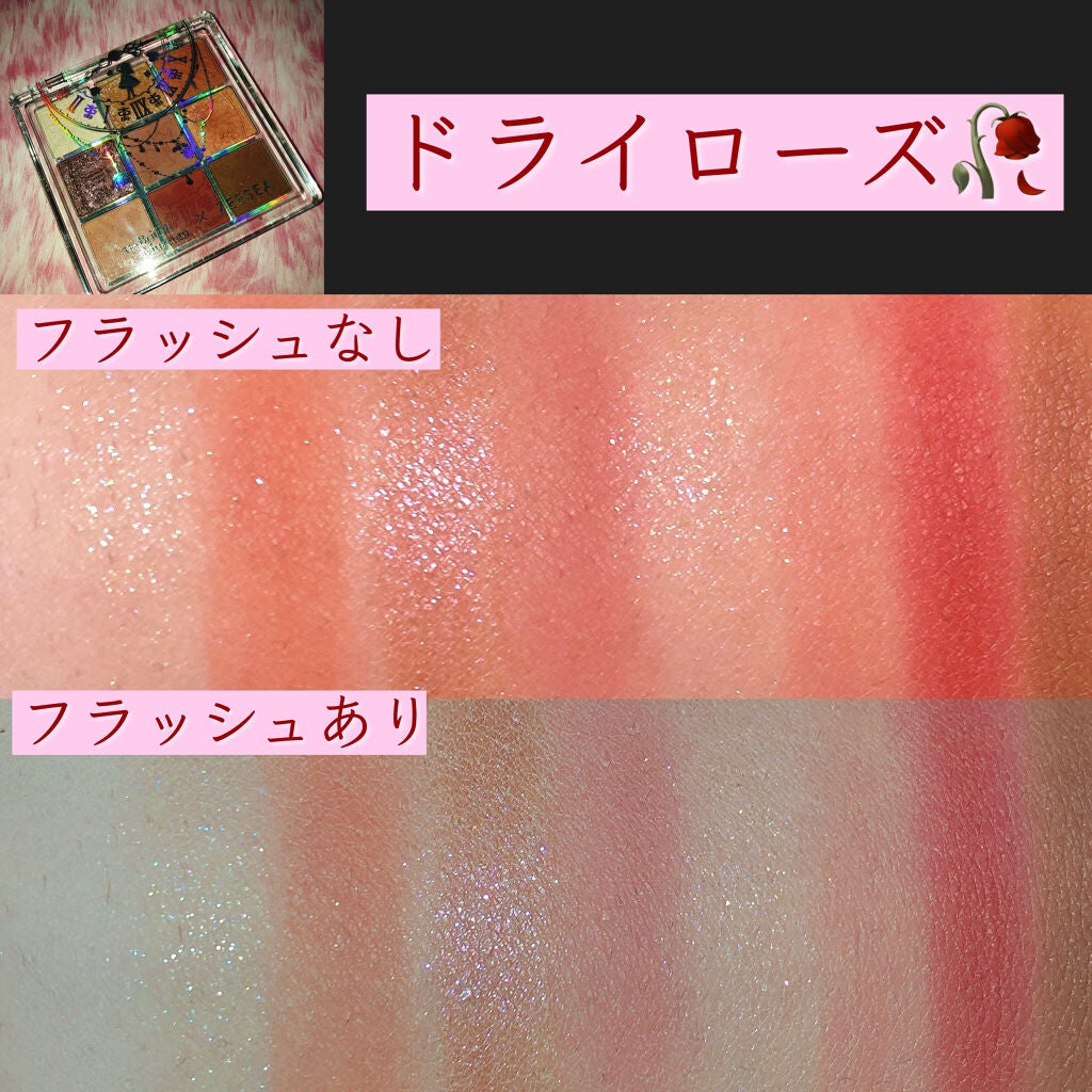 大英博物館 エジプトシリーズ アイシャドウパレット/ZEESEA/アイシャドウパレットを使ったクチコミ(3枚目)